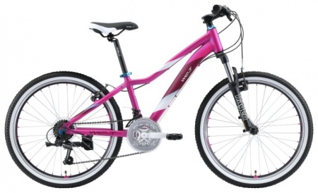 Велосипед Welt Edelweiss 24 (2020)  Велосипед Welt Edelweiss 24 (2020)