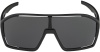 Очки солнцезащитные Alpina Bonfire All Black Matt