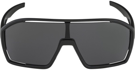 Очки солнцезащитные Alpina Bonfire All Black Matt
