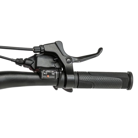 Велосипед Welt Brave 1.0 D 20
