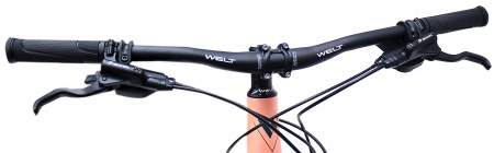 Велосипед Welt Edelweiss 1.0 HD 27 (2021)