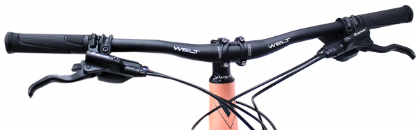 Велосипед Welt Edelweiss 1.0 HD 27 (2021)