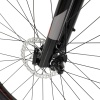 Велосипед Welt Raven 2.0 D 29 (2023)