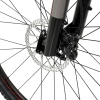 Велосипед Welt Raven 2.0 HD 29 (2023)