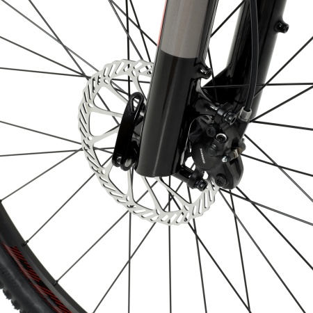 Велосипед Welt Raven 2.0 HD 29 (2023)