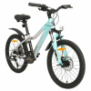 Велосипед TechTeam Elis 20" 