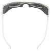 Очки солнцезащитные Alpina Glace Transparent Gloss/Black Cat.3