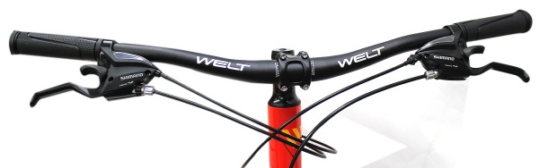 Велосипед Welt Ridge 2.0 D 29  (2021)