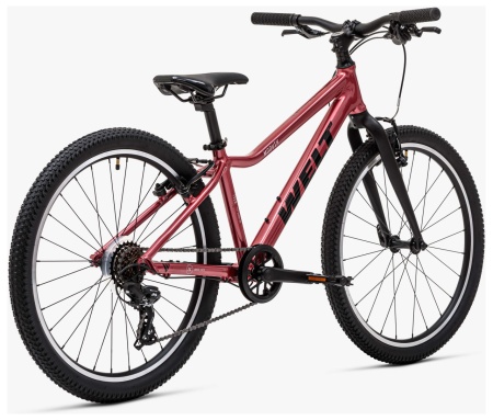 Велосипед Welt Moovix 1.0 V 24 (2026)