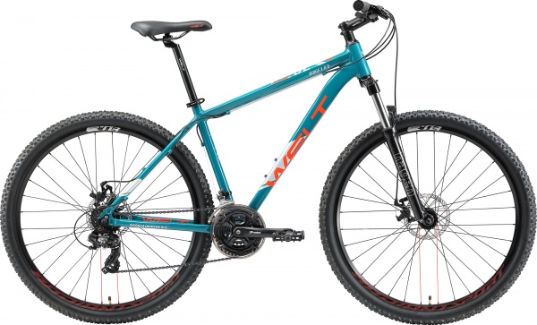 Велосипед Welt Ridge 1.0 D 29 (2021) 