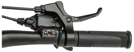 Велосипед Welt Brave 1.0 D 20 (2026)