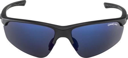 Очки солнцезащитные Alpina Tri-Effect 2.0 Black Matt