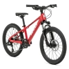 Велосипед Welt Brave 1.0 D 20