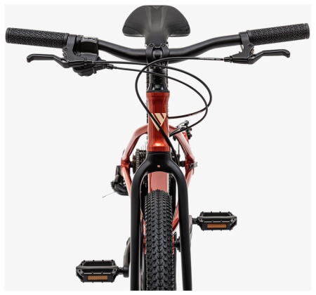 Велосипед Welt Moovix 1.0 D 24 (2026)