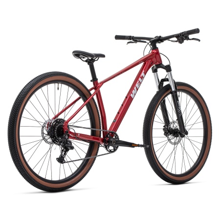 Велосипед Welt Icon 1.0 29 (2026)