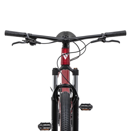 Велосипед Welt Icon 1.0 29 (2026)