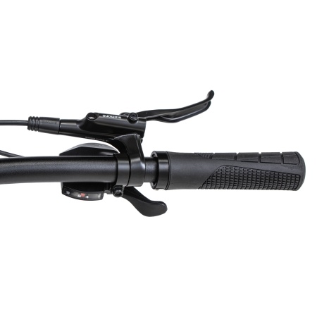 Велосипед Welt Icon 2.0 29 (2026)