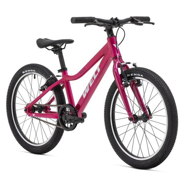 Велосипед Welt Moovix 1.0 V 20 (2026)