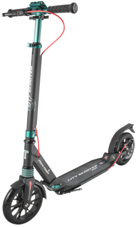 Самокат TechTeam City Scooter Disk Brake black