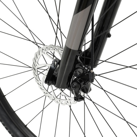 Велосипед Welt Raven 1.0 D 29 (2024)