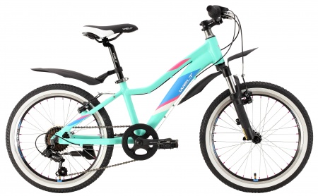 Велосипед Welt Edelweiss 20 (2021)