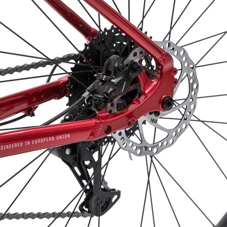 Велосипед Welt Icon 1.0 29 (2026)