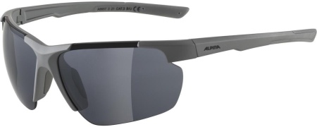 Очки солнцезащитные Alpina Defey Hr Moon/Grey Matt